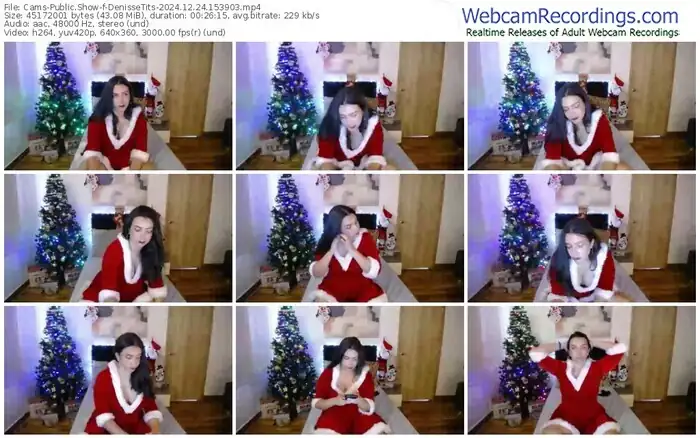 2024/12/24/cams-denissetits-15-39-03