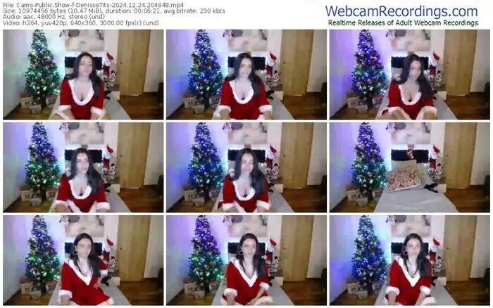 2024/12/24/cams-denissetits-20-49-48