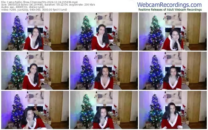 2024/12/24/cams-denissetits-21-59-39