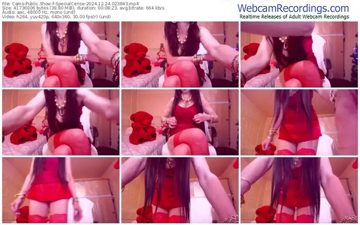 2024/12/24/cams-specialcerise-02-38-43