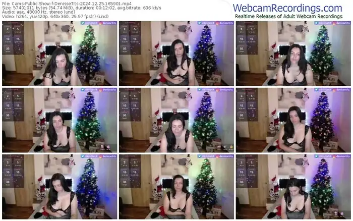2024/12/25/cams-denissetits-16-59-01