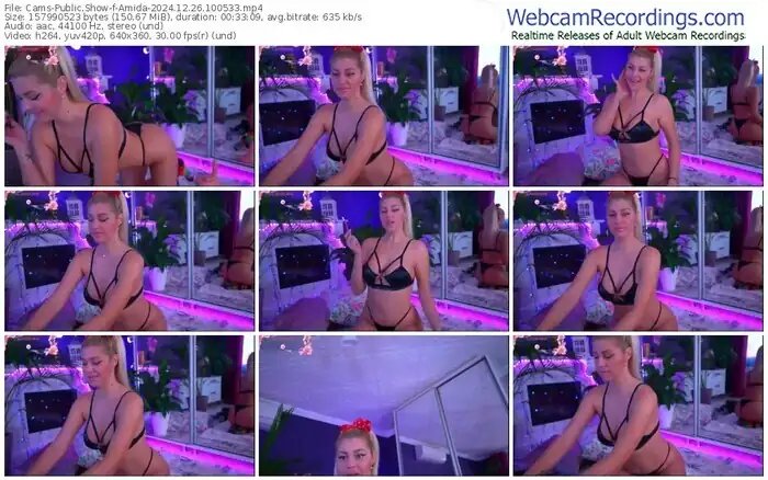 2024/12/26/cams-amida-10-05-33