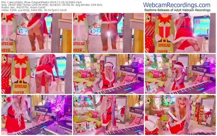 2024/12/26/cams-aspenpeeks-02-34-46