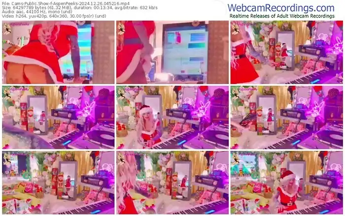 2024/12/26/cams-aspenpeeks-04-52-16