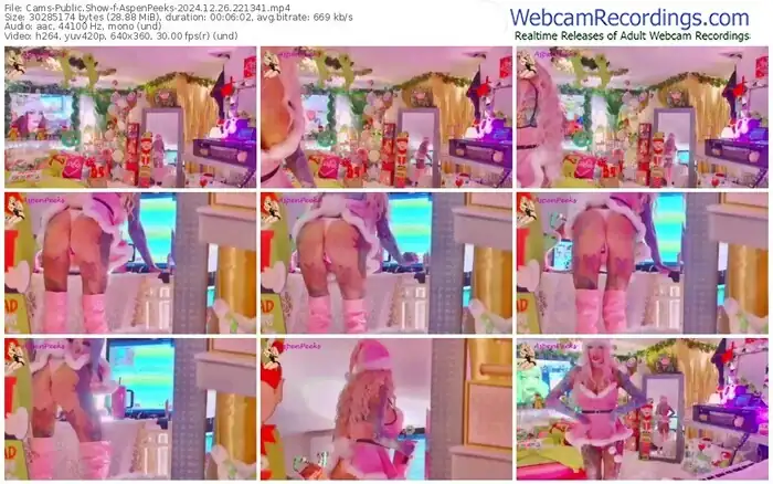 2024/12/26/cams-aspenpeeks-22-13-41