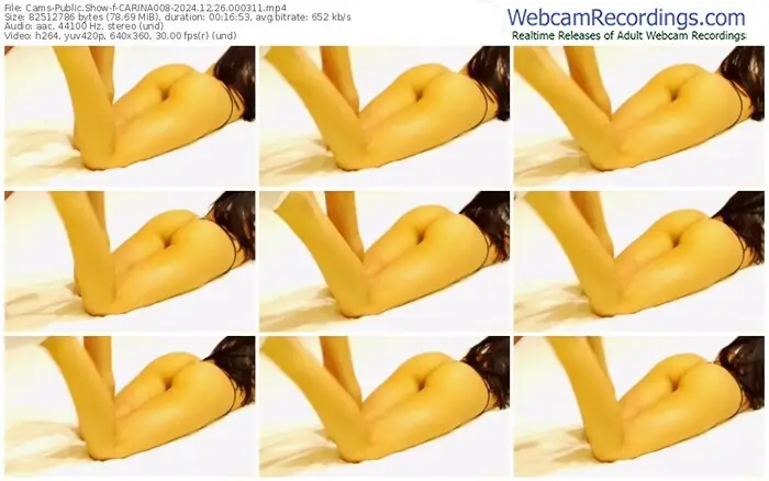 2024/12/26/cams-carina008-00-03-11