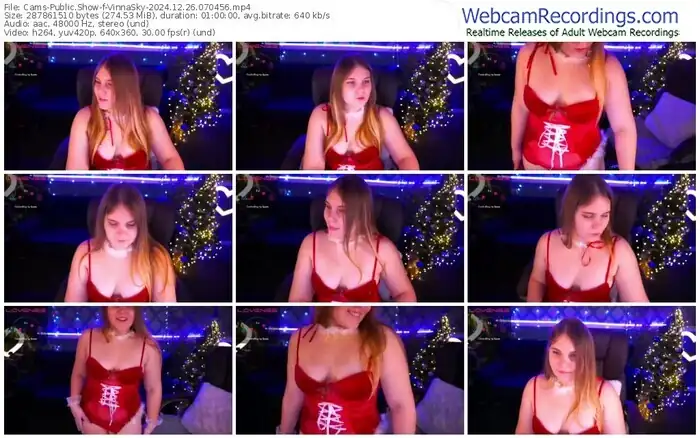 2024/12/26/cams-vinnasky-07-04-56