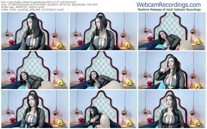 2024/12/27/cams-lasestone-22-10-54