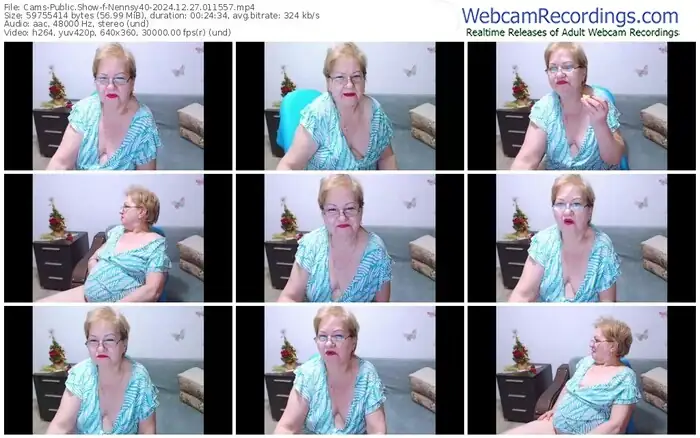 2024/12/27/cams-nennsy40-01-15-57