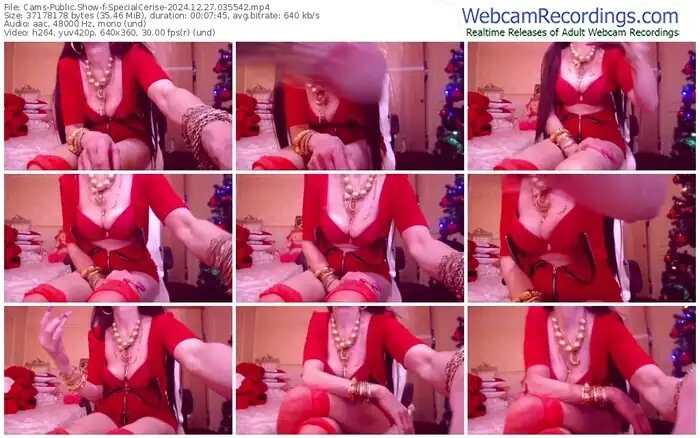 2024/12/27/cams-specialcerise-03-55-42