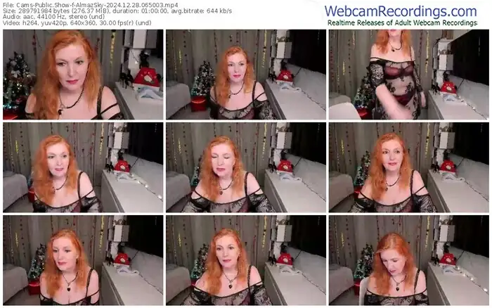 2024/12/28/cams-almazsky-06-50-03