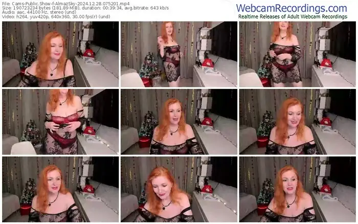 2024/12/28/cams-almazsky-07-52-01