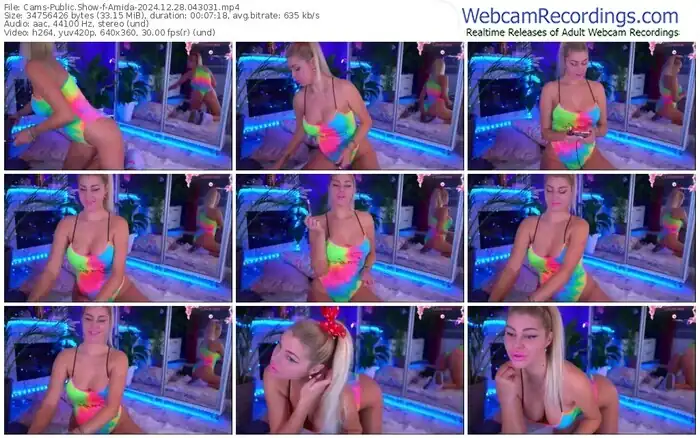 2024/12/28/cams-amida-04-30-31