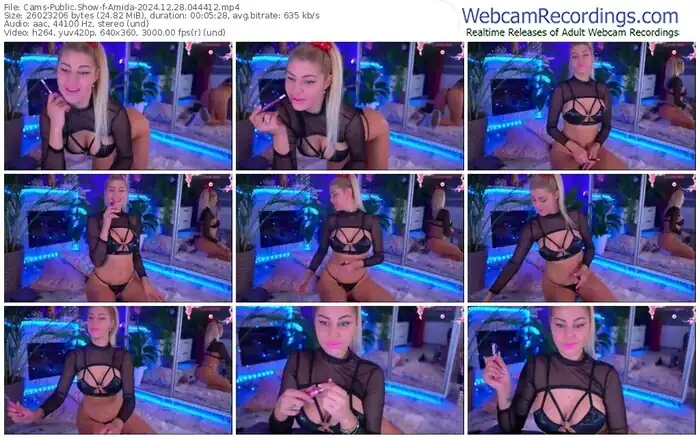 2024/12/28/cams-amida-04-44-12