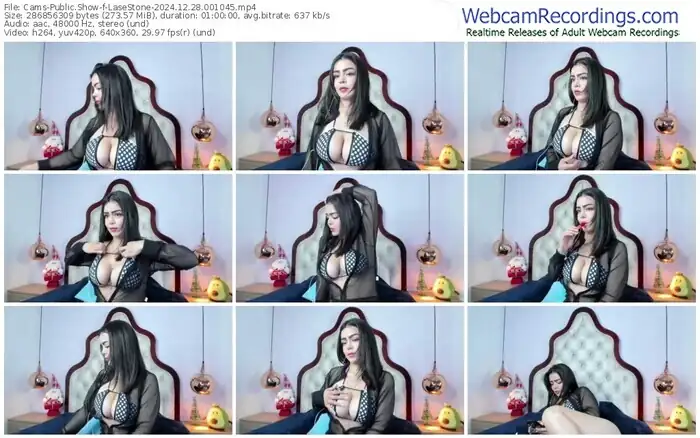 2024/12/28/cams-lasestone-00-10-45