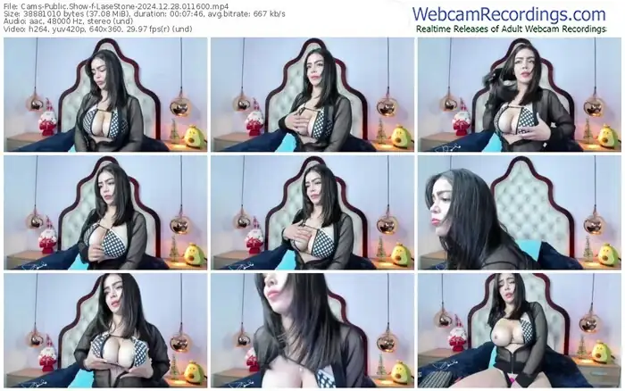 2024/12/28/cams-lasestone-01-16-00