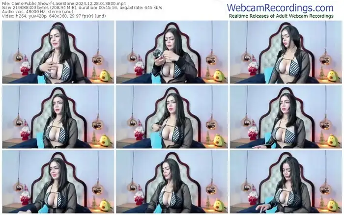 2024/12/28/cams-lasestone-01-38-00