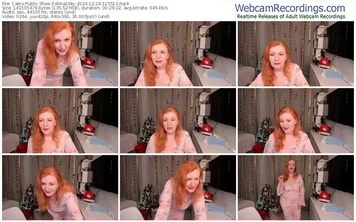 2024/12/29/cams-almazsky-11-55-13