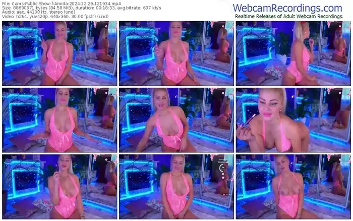 2024/12/29/cams-amida-12-19-34