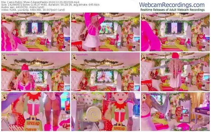 2024/12/29/cams-aspenpeeks-00-10-28