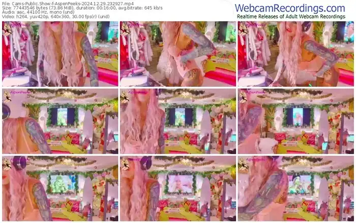 2024/12/29/cams-aspenpeeks-23-29-27