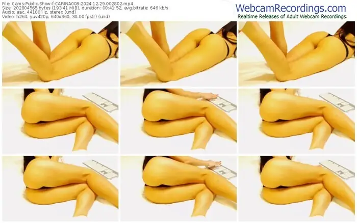 2024/12/29/cams-carina008-00-28-02