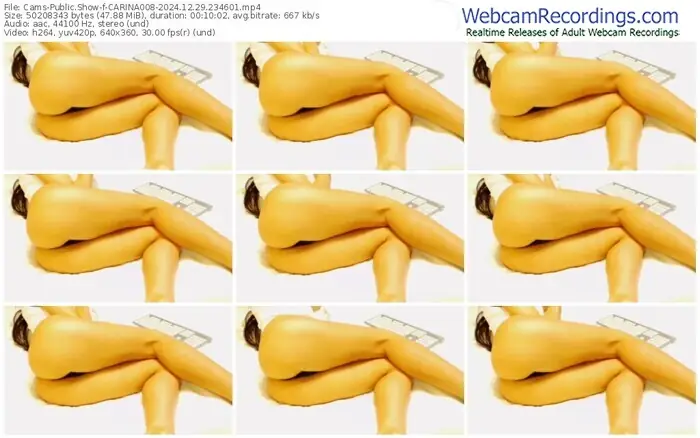 2024/12/29/cams-carina008-23-46-01