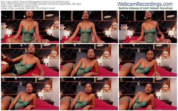 2024/12/29/cams-sofimeggan14-03-42-10