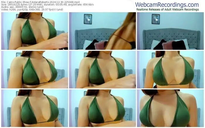 2024/12/30/cams-aidararoberts-22-50-48