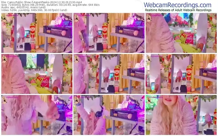 2024/12/30/cams-aspenpeeks-01-21-30