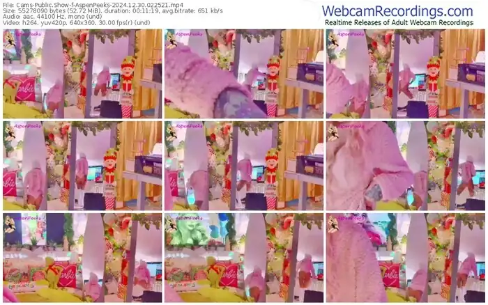 2024/12/30/cams-aspenpeeks-02-25-21