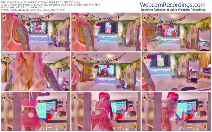 2024/12/31/cams-aspenpeeks-00-13-30