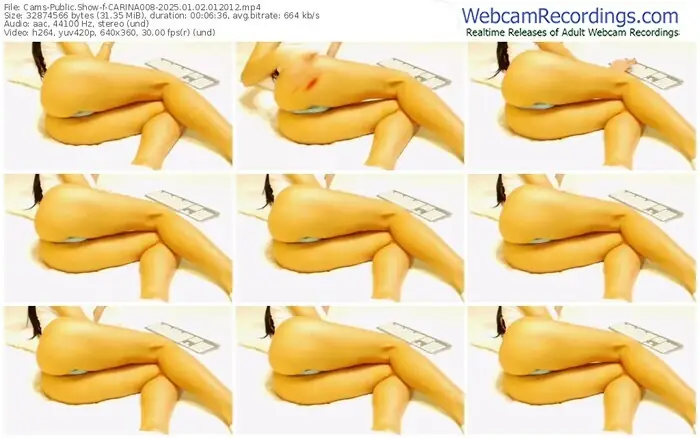 2025/01/02/cams-carina008-01-20-12