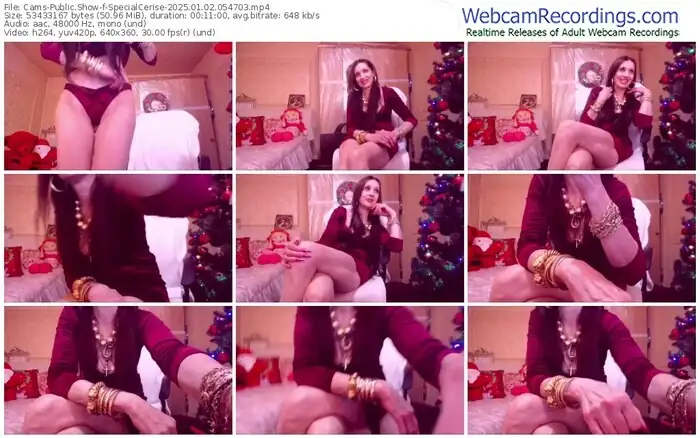 2025/01/02/cams-specialcerise-05-47-03