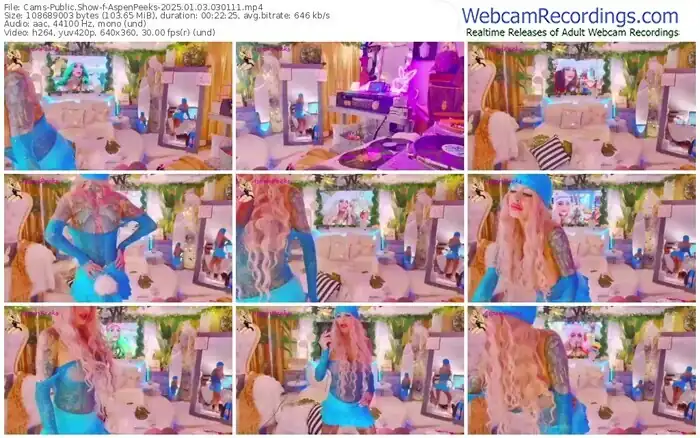 2025/01/03/cams-aspenpeeks-03-01-11