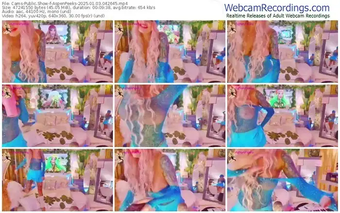 2025/01/03/cams-aspenpeeks-04-26-45