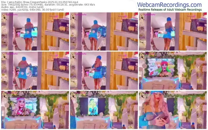 2025/01/03/cams-aspenpeeks-05-07-40