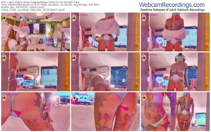 2025/01/04/cams-aspenpeeks-00-24-45