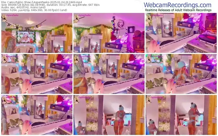 2025/01/04/cams-aspenpeeks-01-24-49