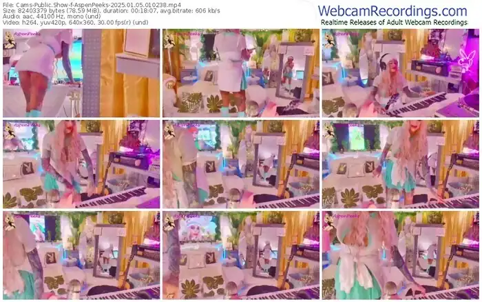 2025/01/05/cams-aspenpeeks-01-02-38