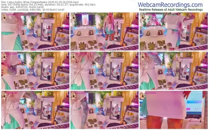 2025/01/05/cams-aspenpeeks-01-25-39