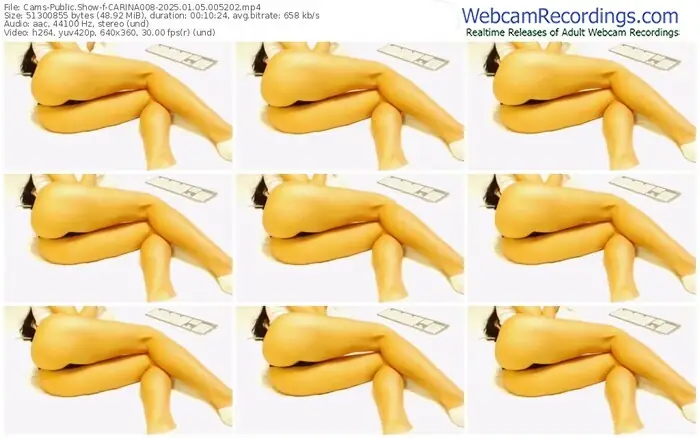 2025/01/05/cams-carina008-00-52-02