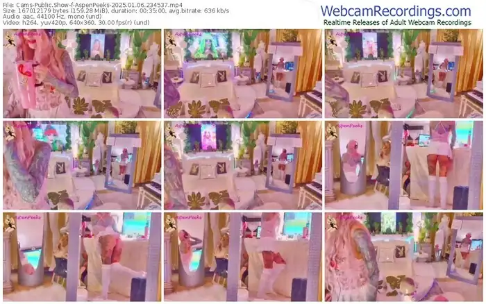 2025/01/06/cams-aspenpeeks-23-45-37