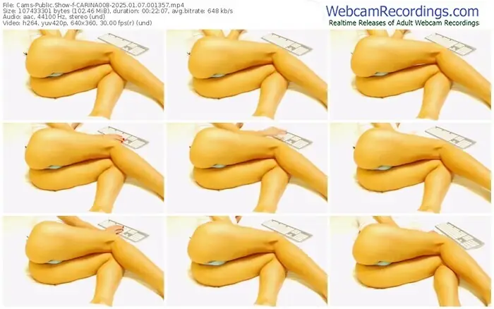 2025/01/07/cams-carina008-00-13-57