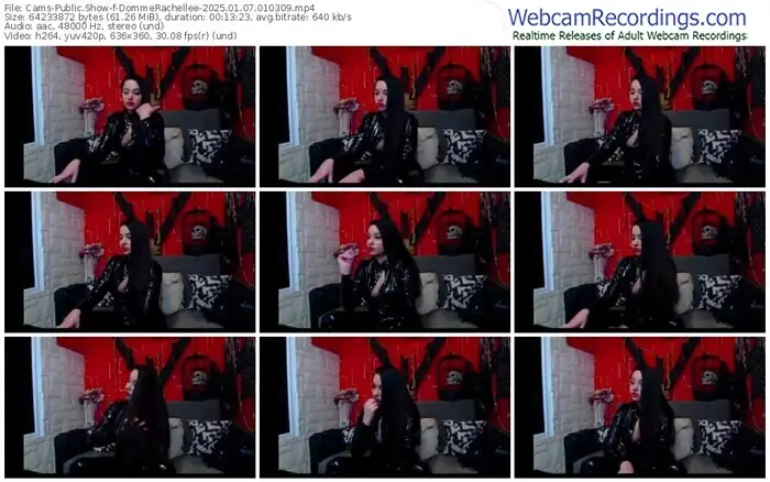 2025/01/07/cams-dommerachellee-01-03-09