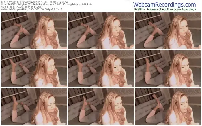 2025/01/08/cams-amia-06-57-54