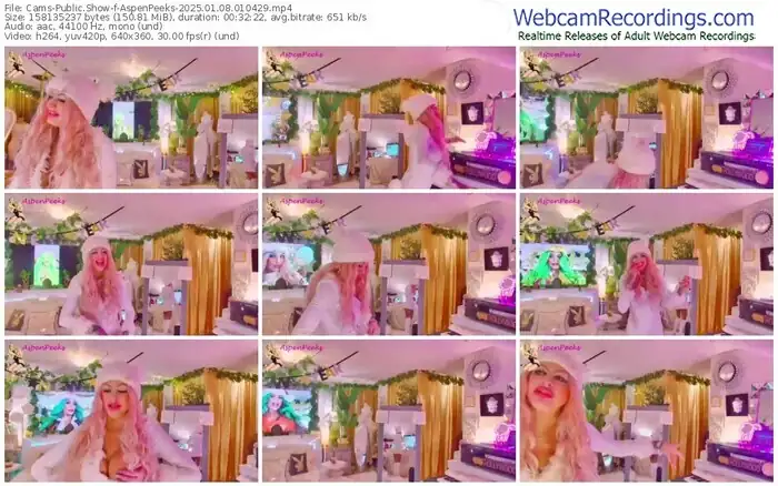 2025/01/08/cams-aspenpeeks-01-04-29