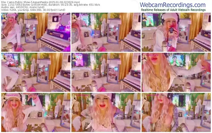 2025/01/08/cams-aspenpeeks-02-36-29