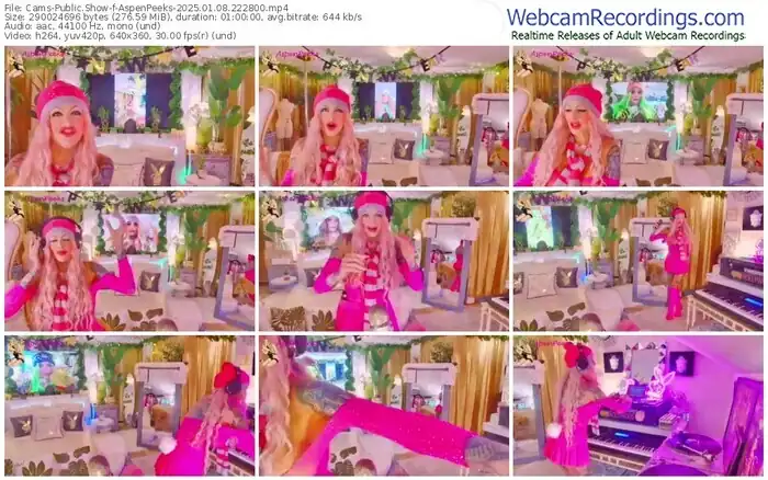 2025/01/08/cams-aspenpeeks-22-28-00