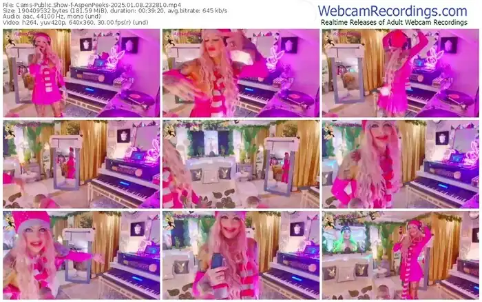 2025/01/08/cams-aspenpeeks-23-28-10